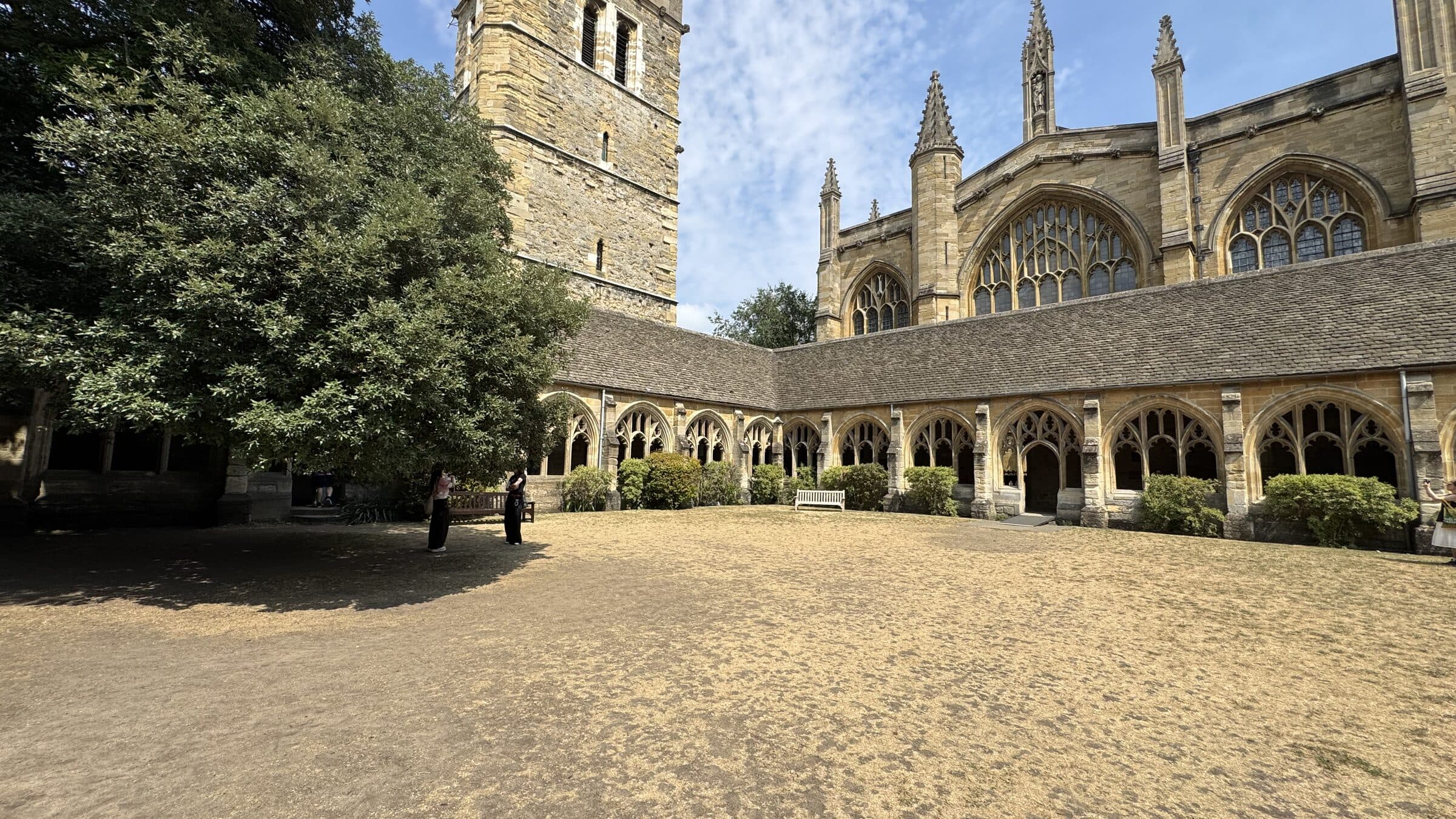 The holm oak and medieval cloisters at New College, Oxford
